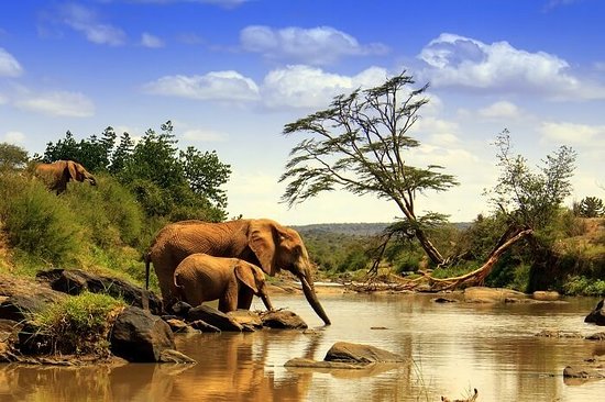 Kenya